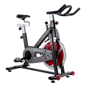 Sunny Health & Fitness (Belt Drive) SF-B1002 Indoor Cycling Bike