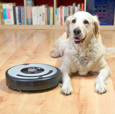 Robotic Vacuums