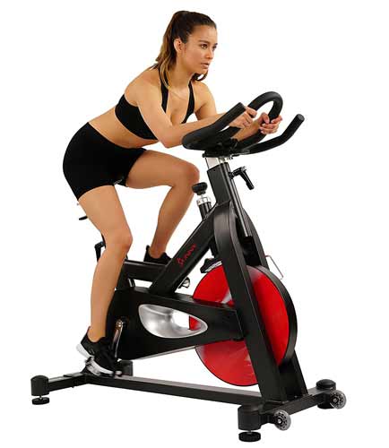 Sunny Health & Fitness Pro SF-B1714 Indoor Cycling Bike