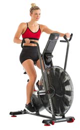 Schwinn AD7 AirDyne Bike