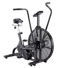 Lifecore Assault Fan Bike