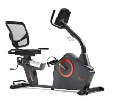 Sunny Exercise Bike